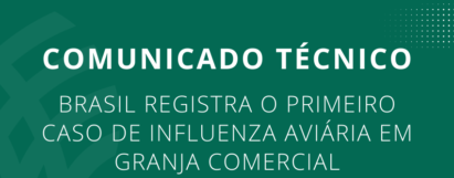 Brasil registra o primeiro caso de influenza aviária em granja comercial