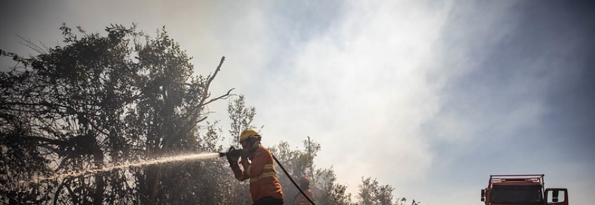 Famato apoia congresso internacional sobre incêndios florestais e reforça compromisso do agro com a preservação ambiental