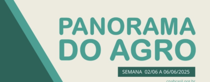 Panorama do Agro - Semana de 2 a 6 de junho
