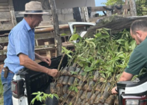 Agro+Verde planta 30 mil mudas no Triângulo Mineiro